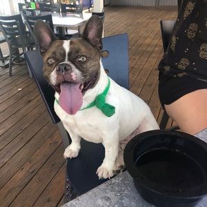 Meet your Posher, John-michael